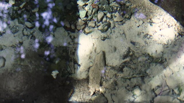 A natural spring bursts forth from the earth.