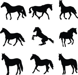 Equine Silhouettes A Dynamic Collection of Horses in Various Poses Against a Stark White Backdrop Illustration
