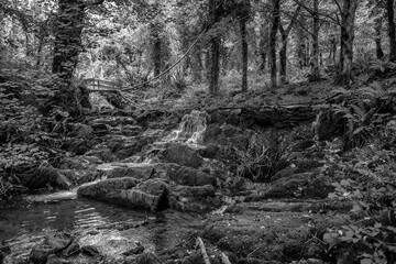 Fototapeta premium Dun a Ri Forest Park, Irland