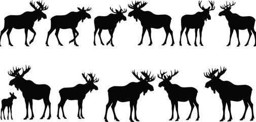 Collection of moose and elk silhouettes in various poses including walking, grazing, and standing, vector wildlife illustration for nature designs