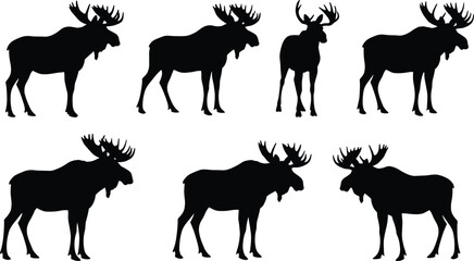 Moose silhouette set with detailed antlers, standing and walking poses, wildlife vector for hunting, forest, outdoor, nature, and animal designs