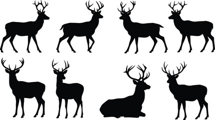 Deer silhouette set with standing and sitting poses, detailed antlers, wildlife vector illustration for forest, hunting, and nature design