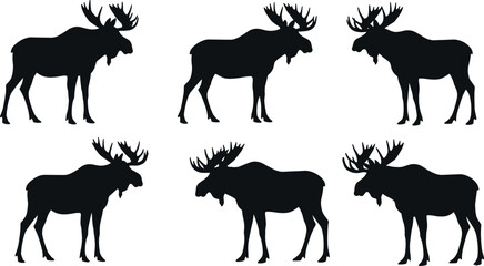 Moose silhouette collection with large antlers, standing and grazing poses, wild animal vector set for forest, nature, wildlife, and hunting design