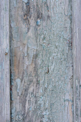 Old wooden background with cracked paint. Abstract background and texture for design.