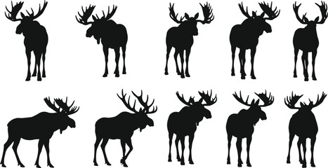 Moose silhouette bundle with large antlers, various standing and walking poses, wild animal vector set for forest, wildlife, and hunting designs