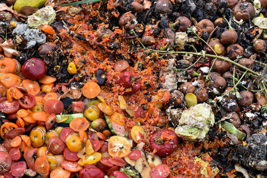 Organic food waste on heap close-up. Compost pile with layers of food scarps and organic materials. compost pit for organic scarps.