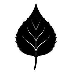 cottonwood leaf silhouette vector