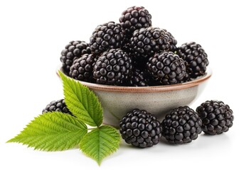 Close up studio shot of fresh ripe blackberries in a rustic ceramic bowl with green leaves