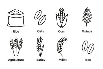 Variety of grains and crops featuring rice, oats, corn, quinoa, barley, and millet highlighted in an agricultural context