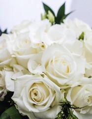 Fototapeta premium Close-up of a bouquet of white roses