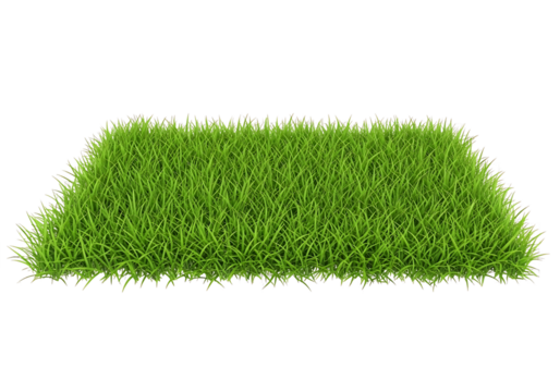 Rectangular patch of vibrant green grass with a slightly uneven edge against a plain setting on transparent background
