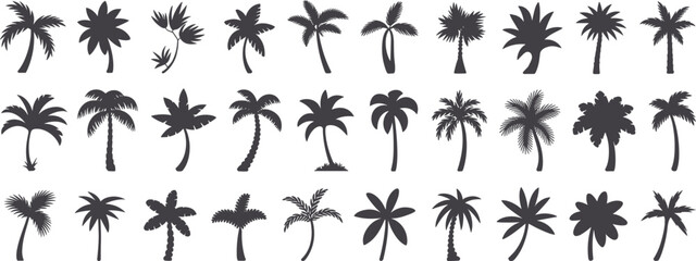 Collection of Dark Gray Palm Tree Silhouettes tropical nature