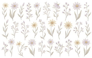 Fototapeta premium Floral set isolated on white background