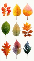Collection of colorful autumn leaves showcasing various shapes and hues in a whimsical design that highlights seasonal change