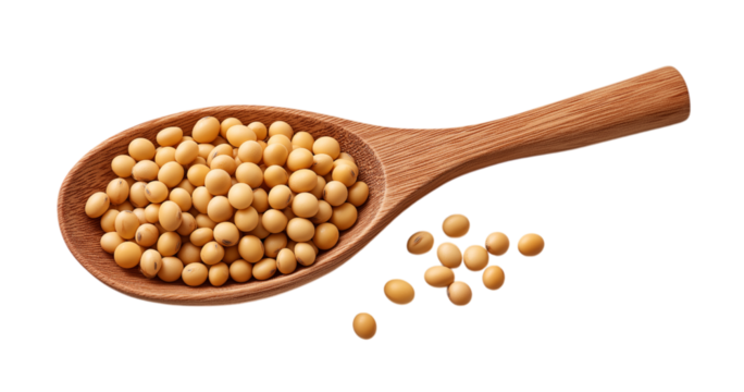 Wooden spoon filled with soybeans and scattered beans isolated on a transparent background - Powered by Adobe
