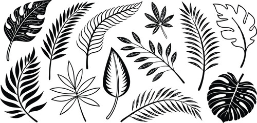 Leaf silhouettes vector set featuring tropical, floral, and botanical elements. nature design collection includes various leaf shapes perfect for eco, organic, and decorative art or digital project 