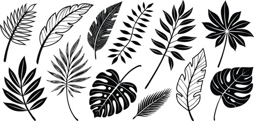 Leaf silhouettes vector set featuring tropical, floral, and botanical elements. nature design collection includes various leaf shapes perfect for eco, organic, and decorative art or digital project  © Sabbir Hossen Nayon