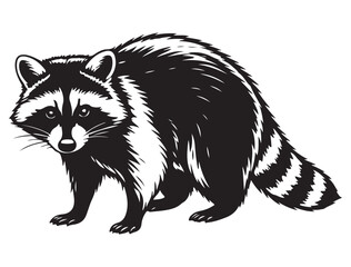 RACCOON SILHOUETTE