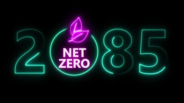 Net zero and eco friendly symbol stamp and stamping impact isolated animation. Co2 neutral, ecology, environment, carbon emissions reduction by 2085 year change and green energy 3D rendered concept.