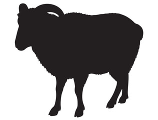 RAM SILHOUETTE