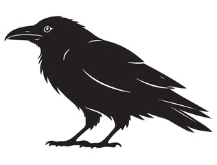 RAVEN SILHOUETTE