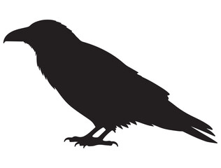 Fototapeta premium RAVEN SILHOUETTE