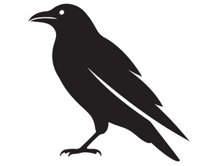 RAVEN SILHOUETTE