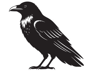 RAVEN SILHOUETTE