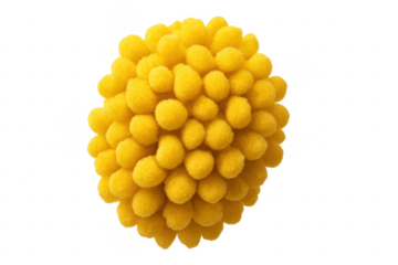 Yellow pom pom ball forming a sphere on transparent background