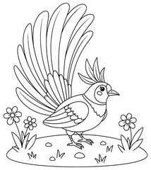 Detailed line art illustration of a bird with raised wings and a feathered crest standing among flowers in a grassy area, ideal for coloring books, wildlife artwork, and creative design projects