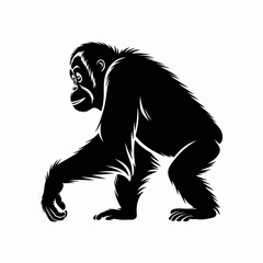Fototapeta premium Black Silhouette of a Walking Gorilla
