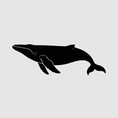 Obraz premium Humpback whale silhouette illustration, marine life design