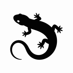 Fototapeta premium Lizard Silhouette on White Background