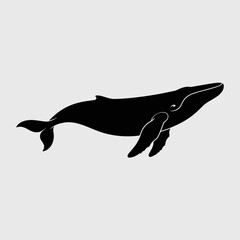Fototapeta premium Whale silhouette illustration on a light background