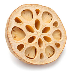 Whole dried lotus stem slice presented alone, isolated on a plain white background for clarity,