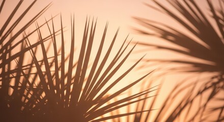 Obraz premium Closeup of palm leaves casting soft shadows in the warm, golden light of a sunset or sunrise, creating a serene and tropical atmosphere