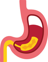 Fototapeta premium human stomach vector icon isolated on white background
