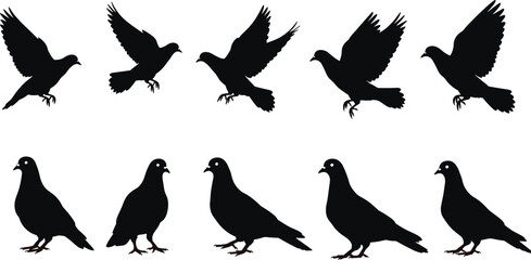 Flying and standing pigeon silhouettes, bird clipart, dove vector icons, black bird shapes, isolated illustration