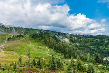 Fototapeta premium Scenic green hill mountain. Travel destination. Breathtaking summer in wild mountain with forest and green slopes. Mountain landscape with meadow. Valley landscape with cloudy sky. Adventure place