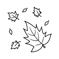 Vintage Fall Leaves Line Art