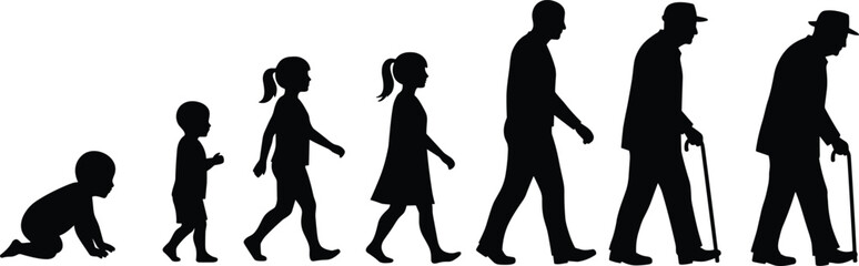 Silhouette of human life stages from baby to elderly, evolution of man and woman, vector illustration for educational design