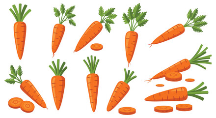 Collection of Cartoon Carrots with Leaves and Slices