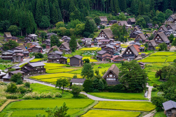 Shirakawago view from above
