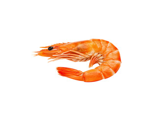 Appetizing cooked shrimp against transparent background gourmet seafood cuisine