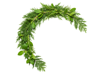 Botanical crescent green foliage arrangement nature background design element