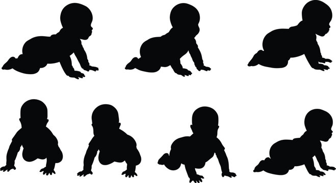 Baby crawling silhouette collection, front and side view poses, vector illustration of infant movement stages for design, education, and decoration projects