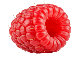 Close up fresh red raspberry fruit food