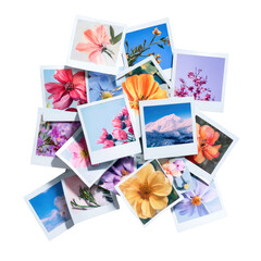 A vibrant pile of instant photos showcasing various flowers and a mountain landscape