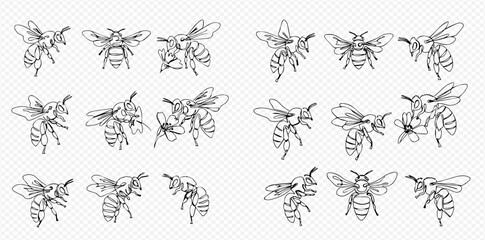 A collection of detailed, hand-drawn bee illustrations in various flying and pollinating poses.