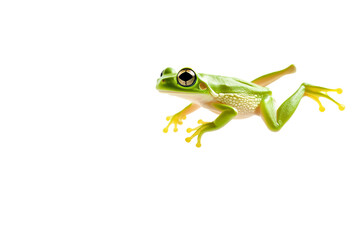 Obraz premium A vibrant green frog with striking yellow eyes perched gracefully against a minimalist background.